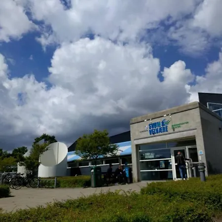 Falster キャンプ場 *