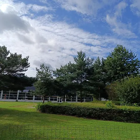 キャンプ場 Falster Nykøbing Falster